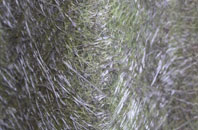 Wordwell fibreglass roof work